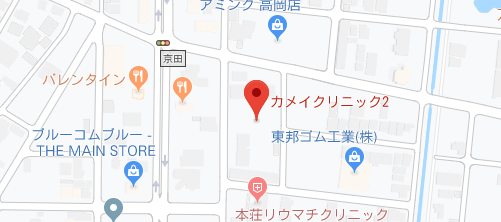 カメイクリニック 高岡院地図