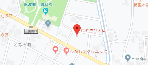 けやきひふ科地図