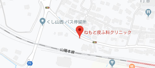 ねもと皮ふ科クリニック地図